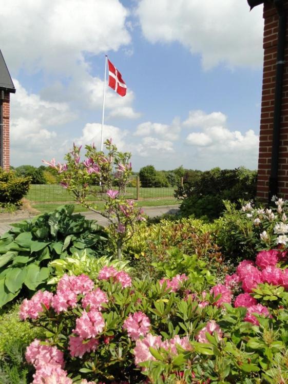 Lyngvej 16 B&B Skanderborg Esterno foto