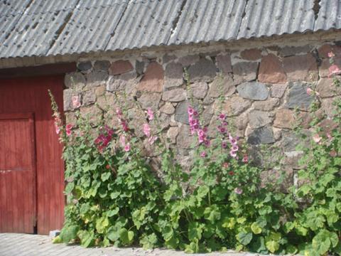 Lyngvej 16 B&B Skanderborg Esterno foto
