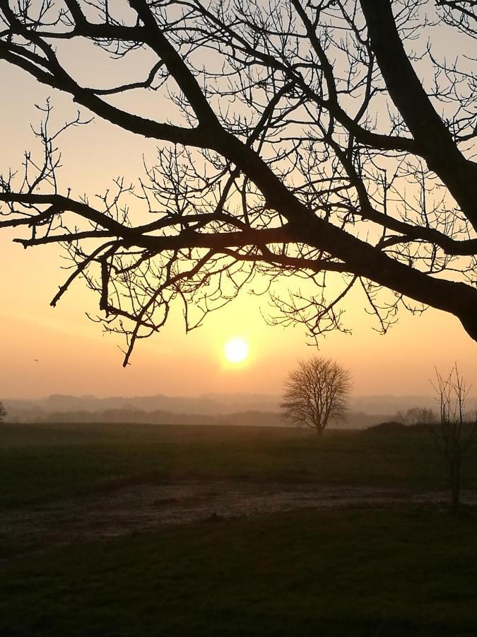 Lyngvej 16 B&B Skanderborg Esterno foto