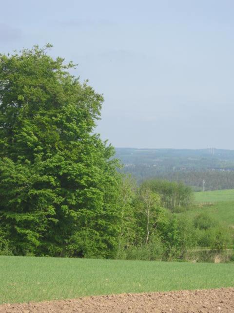 Lyngvej 16 B&B Skanderborg Esterno foto