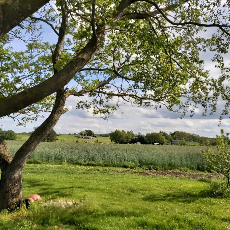 Lyngvej 16 B&B Skanderborg Esterno foto